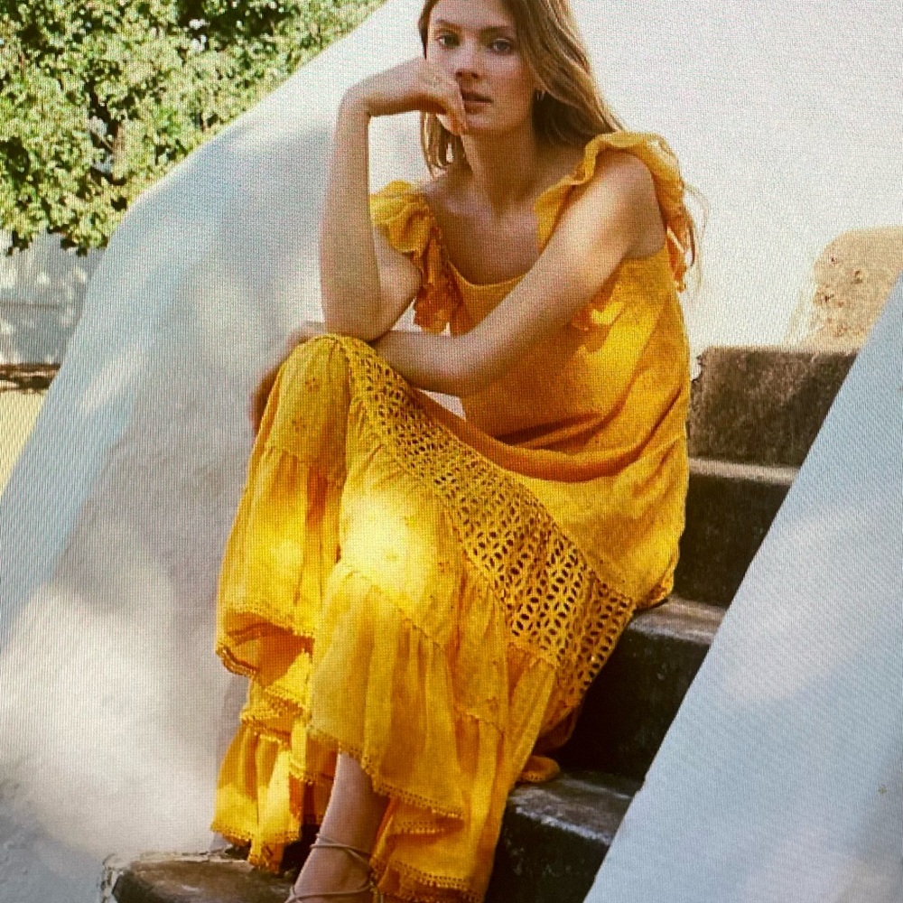 Anthropologie Fallon Eyelet Maxi Dress by Payal Jain - LIKE NEW